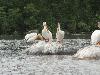 DSC00826.JPG