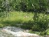 DSC00853.JPG