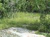 DSC00854.JPG