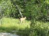 DSC00856.JPG