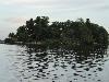 DSC00866.JPG