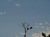 DSC00890.JPG