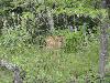 DSC00896.JPG