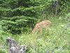DSC00897.JPG