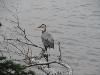 DSC00910.JPG