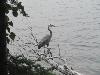 DSC00911.JPG