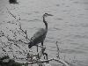 DSC00912.JPG