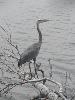 DSC00914.JPG