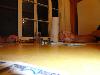 DSC00950.JPG