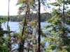 20120912_110211.jpg