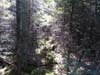 20120912_114137.jpg