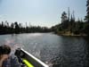 DSC01707.jpg