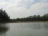 DSC01728.jpg