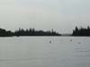 DSC01731.jpg