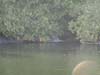 DSC01739.jpg