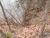 20121122_140931.jpg