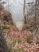 20121122_140946.jpg
