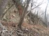 20121122_144947.jpg