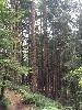 IMG_0222.JPG