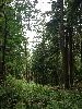 IMG_0223.JPG