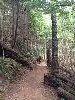 IMG_0231.JPG
