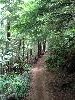 IMG_0233.JPG