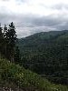 IMG_0234.JPG