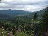 IMG_0236.JPG
