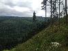 IMG_0237.JPG