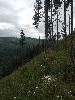 IMG_0238.JPG