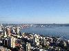 IMG_0247.JPG