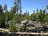IMG_0274.JPG