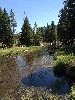 IMG_0287.JPG