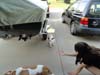 DSC01911.jpg