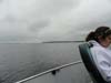 DSC01919.jpg