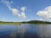 DSC01945.jpg