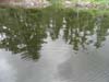 DSC01957.jpg