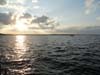 DSC01966.jpg