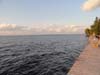 DSC01967.jpg