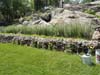 DSC02028.jpg