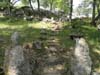 DSC02031.jpg