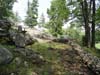 DSC02032.jpg