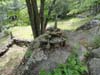 DSC02033.jpg