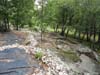 DSC02034.jpg