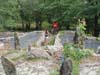 DSC02036.jpg