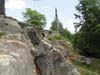 DSC02042.jpg
