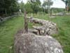 DSC02043.jpg