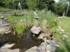 DSC02045.jpg