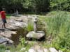 DSC02046.jpg