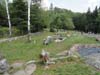 DSC02049.jpg